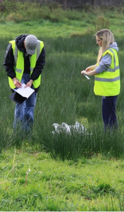 Ecology fieldwork